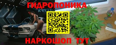 PSILOCYBIN Бузулук