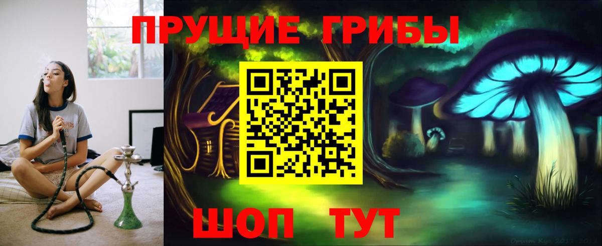 Псилоцибиновые грибы ЛСД Шатура